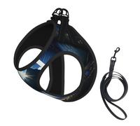 The Peak in Blue Eyes Dog Harness - Equipped with Reflective Straps and Quick Release Buckles - Suitable for Small Cats and Dogs