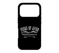 The Peaks of Otter Bedford County Virginia Distressed Design Case for iPhone 17 Pro