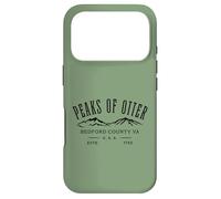 The Peaks of Otter Bedford County Virginia Souvenir Design Case for iPhone 17 Pro