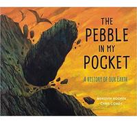 The Pebble in My Pocket A History of Our Earth Paperback 5 Nov 2015