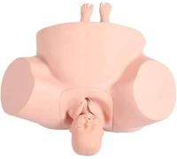 The pelvic anatomy model is the same size as the real pelvis, including the main anatomical landmarks and hand-drawn pelvic outline. The complete model shows all common female childbirth methods