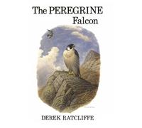 The Peregrine Falcon