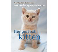 The Perfect Kitten: How to Raise a Problem-Free Cat