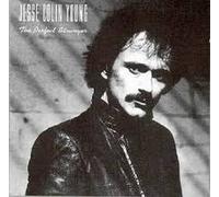 The Perfect Stranger