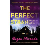 The Perfect Stranger: A Novel