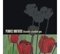 The Pernice Brothers - Discover a Lovelier You