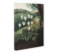 The Persian Cyclamen By Robert John Thornton Canvas Print | Gallery Wrapped 30mm Frame Wall Art | 20x14 inches | Ready to Hang | Retro Picture | Living Room Bedroom Lounge Office