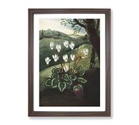 The Persian Cyclamen By Robert John Thornton Vintage Framed Print | A3 Walnut Framed Wall Art | Ready to Hang | Classic Nature Picture | Living Room Bedroom Lounge Office