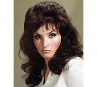 The Persuaders (TV) Kate O'Mara 10x8 Photo