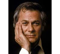 The Persuaders (TV) Tony Curtis 10x8 Photo