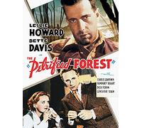 The Petrified Forest