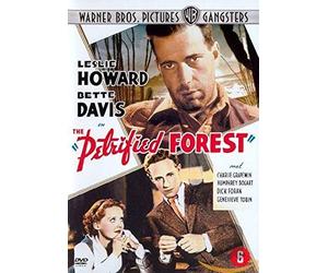 The Petrified Forest [Dutch import]