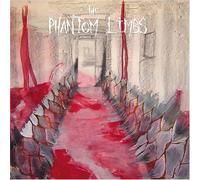 The Phantom Limbs - Random Hymns