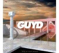 The Phoenix Foundation - Give Up Your Dreams [VINYL]