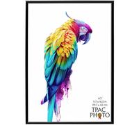 The Photo Album Co A3 Poster Frame Backloader | Black, 29.7 x 42 cm, Plastic, Foil Wrapped | Acrylic Front, Drop-In Back, Wall Mount | Picture Frame for Home Décor