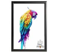 The Photo Album Co SHERWOOD A3 (30x42cm) Black Photo Frame Acrylic (Non Glass) Pack of 1