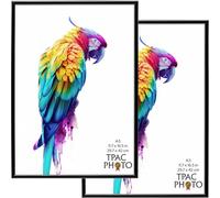 The Photo Album Company Limited | A3 Poster Frame Pack of 2, Black, 43.1x31cm, Plastic, Foil Wrapped | Acrylic Front, Wall Mount, Portrait or Landscape | For Photos, Certificates, Posters
