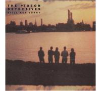 The Pigeon Detectives - Still Not Sorry - Vinyl / 12" Album