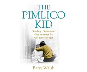 The Pimlico Kid by Walsh, Barry (July 4, 2013) Paperback
