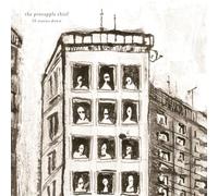 The Pineapple Thief - 10 Stories Down ( 20th Anniversary Marble LP ) [VINYL]