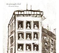 The Pineapple Thief 10 Stories Down (Vinyl) 12" Album (US IMPORT)