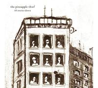 The Pineapple Thief - 10 Stories Down [VINYL]