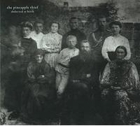 The Pineapple Thief - Abducted At Birth [CD]