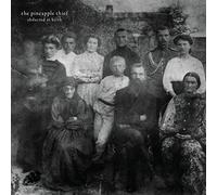 The Pineapple Thief : Abducted at Birth CD (2017) NEW Fast and FREE P & P