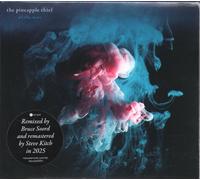 The Pineapple Thief - All The Wars (2025 Mix)