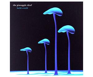 The Pineapple Thief - Build A World