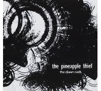 The Pineapple Thief - Dawn Raids II, the