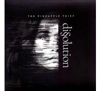 Dissolution