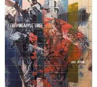 The Pineapple Thief Last to Run (Vinyl) 12" Album (US IMPORT)