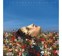 The Pineapple Thief - Magnolia [VINYL]