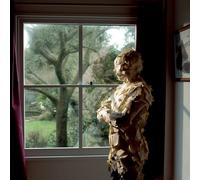 The Pineapple Thief - Someone Here Is Missing