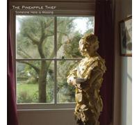 The Pineapple Thief Someone Here Is Missing (CD) Album