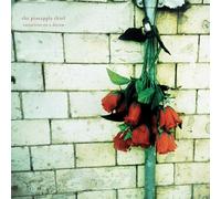 The Pineapple Thief - Variations On A Dream