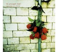 The Pineapple Thief - Variations On A Dream