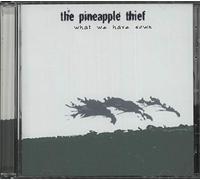 The Pineapple Thief - What We Have Sown