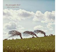 The Pineapple Thief : What We Have Sown VINYL 12" Album 2 discs (2019)