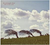 The Pineapple Thief - What We Have Sown: - Vinyl / 12" Album