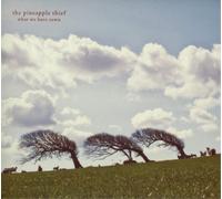 The Pineapple Thief : What We Have Sown VINYL 12" Album 2 discs (2019)