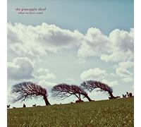 The Pineapple Thief : What We Have Sown VINYL 12" Album 2 discs (2019)