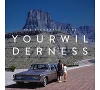 Your Wilderness by The Pineapple Thief (Record, 2019)