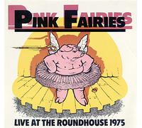The Pink Fairies - The Pink Fairies - Live At The Roundhouse 1975 - Big Beat Records - WIK 14