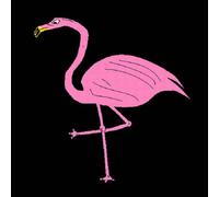 The Pink Flamingos - Choices