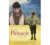 The Pinnacle [DVD] [2010]
