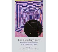 The Planetary Turn: Relationality and Geoaesthetics in the Twenty-First Century