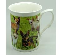 The Plate Collectors Shop Chihuahua Collage Mug FINE Bone China 10 0Z Mug ~ Hand Decorated in Stoke ON Trent