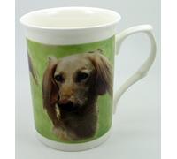 The Plate Collectors Shop Saluki FINE Bone China 10 0Z Mug ~ Hand Decorated in Stoke ON Trent